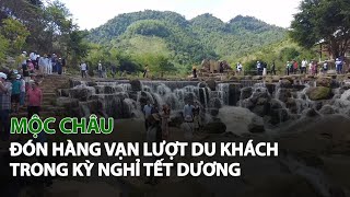 Mộc Châu đón hàng vạn lượt du khách trong Kỳ Nghỉ Tết Dương VTC14 [upl. by Benedetto]