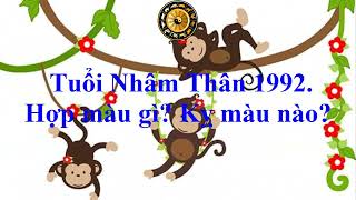 Tuổi Nhâm Thân 1992 Hợp màu gì Kỵ màu nào [upl. by Eirojram]