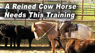 A Reined Cow Horse Needs This Training  Horse Training For Reining And Cow Horses [upl. by Lekzehcey]