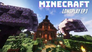 Celeiro EP1  minecraft survival  no comentary  1213 [upl. by Elyrpa]