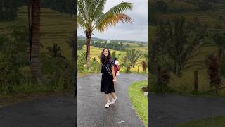 Beautiful Rice Terraces  Bali Indonesia 🇮🇩 shorts travel [upl. by Lonnie]