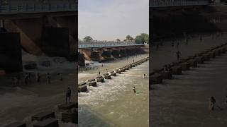 Baidara Dam  shorts shortvideo youtubeshorts ytshorts IndianTourTravel [upl. by Dnalkrik]