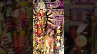 Taldi Bustand Shibaji Sangho  Durga Puja shorts [upl. by Okomot86]