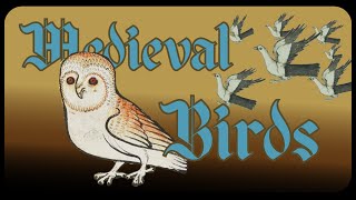 The Medieval Bird  The Bestiary [upl. by Mcquoid]