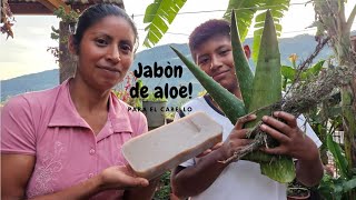 COMO PREPARAR JABON DE ALOE VERA PARA EL CABELLO [upl. by Noiztneb914]