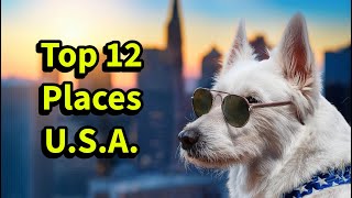 Top 12 Must Visit Places in the USA [upl. by Angelina]