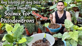 SOILMIX PARA SA MALULUSOG NA PHILODENDRONS  PHILODENDRON SOILMIX  BECHOY VLOG [upl. by Waugh]