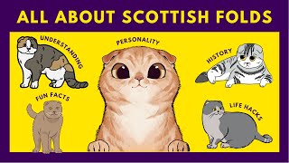 Scottish Fold Cats 10 Fascinating Facts You Need to Know Now [upl. by Eneliak]