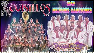 Bandas Viejitas Mix 2024  20 Mejores Canciones De Banda Cuisillos y Banda Pequeños Musical [upl. by Redla]