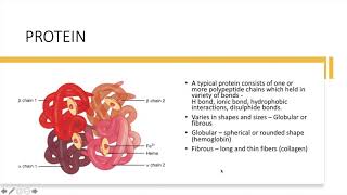 Proteins [upl. by Notnerb842]