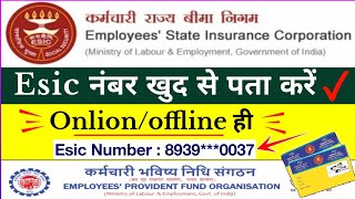 How to Search esic by NameESIC Number Kaise pata Kare online अपना esic नंबर कैसे पता करें  Esic [upl. by Attolrahc]