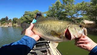 fishing puddingstone lake for bass [upl. by Melessa]