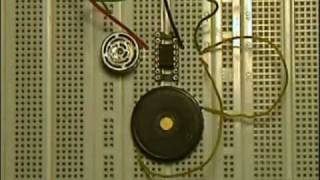 picoBat  an ultrasonic bat detector with 3 components [upl. by Blinni]