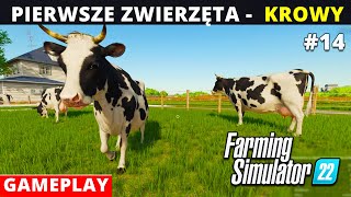 Farming SImulator 22 zaczynamy odc 14 Pierwsze zwierzęta na farmie  KROWY FS22 gameplay po polsku [upl. by Hanahs]