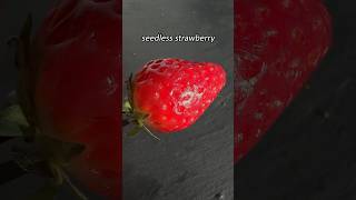 Seedless Strawberry [upl. by Nyladnarb342]