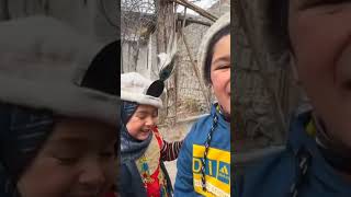 Shiraz vlog cutebaby shirazivlogs shortvideo [upl. by Rabaj997]