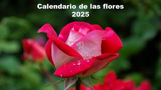 Calendario de las flores 2025 [upl. by Nnylyar985]