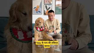 🐕Tobo के पापा की तबीयत खराब  mini wood toy  woodworking art skill  hand crafts shorts pets [upl. by Acimak]