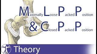 Maximally Loose Packed Position MLPP amp Close Packed Position CPP Explained [upl. by Nojad]