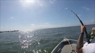 Jacksonville Florida fishing at the Mayport Jetties [upl. by Dunseath]