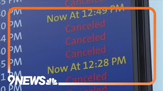 Flights canceled delayed at Denver airport due to winter weather [upl. by Ahsal848]