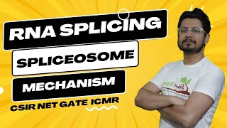 RNA splicing and processing  RNA splicing mechanism  spliceosome [upl. by Pernas]