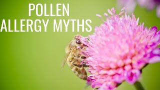 pollen allergy myths [upl. by Ambrosane]