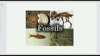 Paleontology Previous year QampA and Numerical class video15 BRAHMASTRA Hinglish [upl. by Nnyledam]