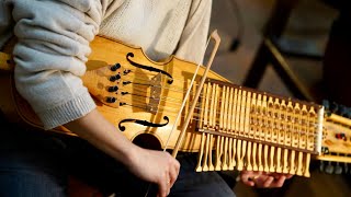 Nyckelharpa concert in Cesena 🇮🇹 this Saturday shorts nyckelharpa [upl. by Atal]