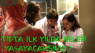 TIP FAKÜLTESİNDE İLK SENE  DETAYLI ANLATIYORUM [upl. by Nanaek413]