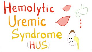 Hemolytic Uremic Syndrome HUS [upl. by Isabella]