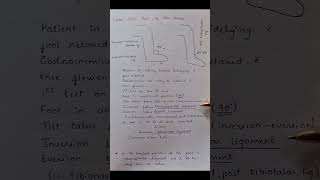 Talar Tilt Test  Ankle [upl. by Cassondra502]