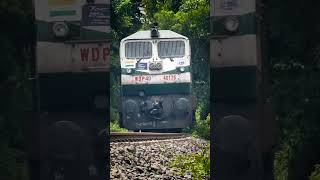 WDP4D Locomotive Supremacy 🔥 indianrailways trainsofindia wdp4d [upl. by Rafe519]