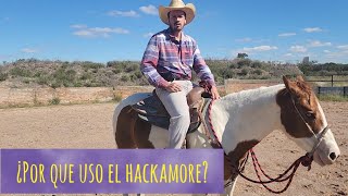 ¿Por que uso bosal o Hackamore [upl. by Osrit]