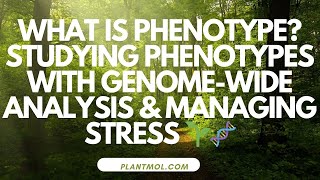 What Is Phenotype Studying Phenotypes with Genome Wide Analysis amp Managing Stress 21112024 🌱🧬 [upl. by Htebezile]