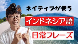 【 インドネシア語 】ネイティブがよく使う日常会話のフレーズ。会ったときやチャットでよく出てくるフレーズ。【Dengan SUBTITLE Bahasa Indonesia】 [upl. by Naugan]