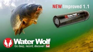 Water Wolf 11 Underwater HD Fishing Camera [upl. by Ayotna]