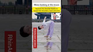 Chinese Culture qigong kungfu martialarts chineseculture taichi [upl. by Saks]