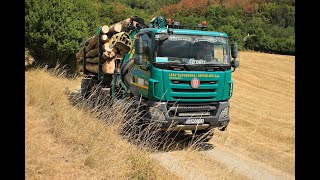 Tatra Phoenix 2022  Lesovůz  Working in forest  Timber loading  Holztransport [upl. by Cavanaugh]