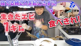 【大食い】休日の朝早くに爆睡中の姉2人を起こさずに食べきれる？wwwエビ大好きなあこがエビ１キロを生きたまま食べてみた！【モッパン】 [upl. by Arbmat]