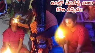 ఇంట్లో వెంకన్న బాబు కోల తిప్పడం I Latest Venkanna babu Kola Sambaram Videos I Rcpm Today [upl. by Ielerol]