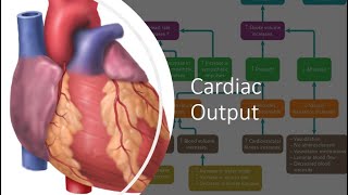 Cardiac Output [upl. by Glennon]