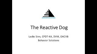 The Reactive Dog  31619 ThanksToMaddie [upl. by Chic419]