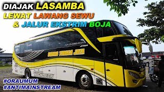 2x ORA UMUM Naik Bus STJ muter lewat Jalur Ekstrim Boja amp Lawang Sewu Kota Semarang [upl. by Clardy847]