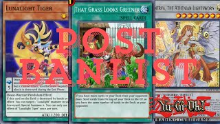 Lightsworn Lunalight Grass  Deck Profile  POST BANLIST  2024 [upl. by Aurelea]