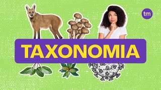 Taxonomia  Como classificar os seres vivos [upl. by Mahmoud]