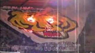 Tifo RC Strasbourg  Lyon 20032004 [upl. by Anwaf551]