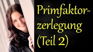 Primfaktorzerlegung Teil 2 Erklärung [upl. by Jacquelin]