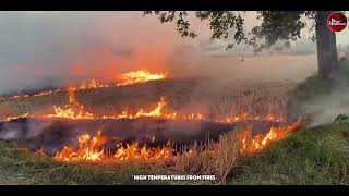 Survival Secrets 10 Ways to Deal with Wildfires  Tips Survival [upl. by Garek]