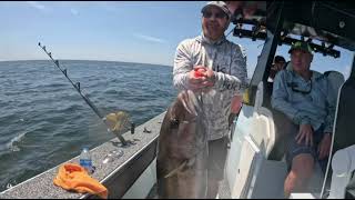 Catching amberjacks on a cut off oil rig in Venice La [upl. by Worlock]